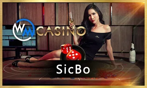 Live Casino Action